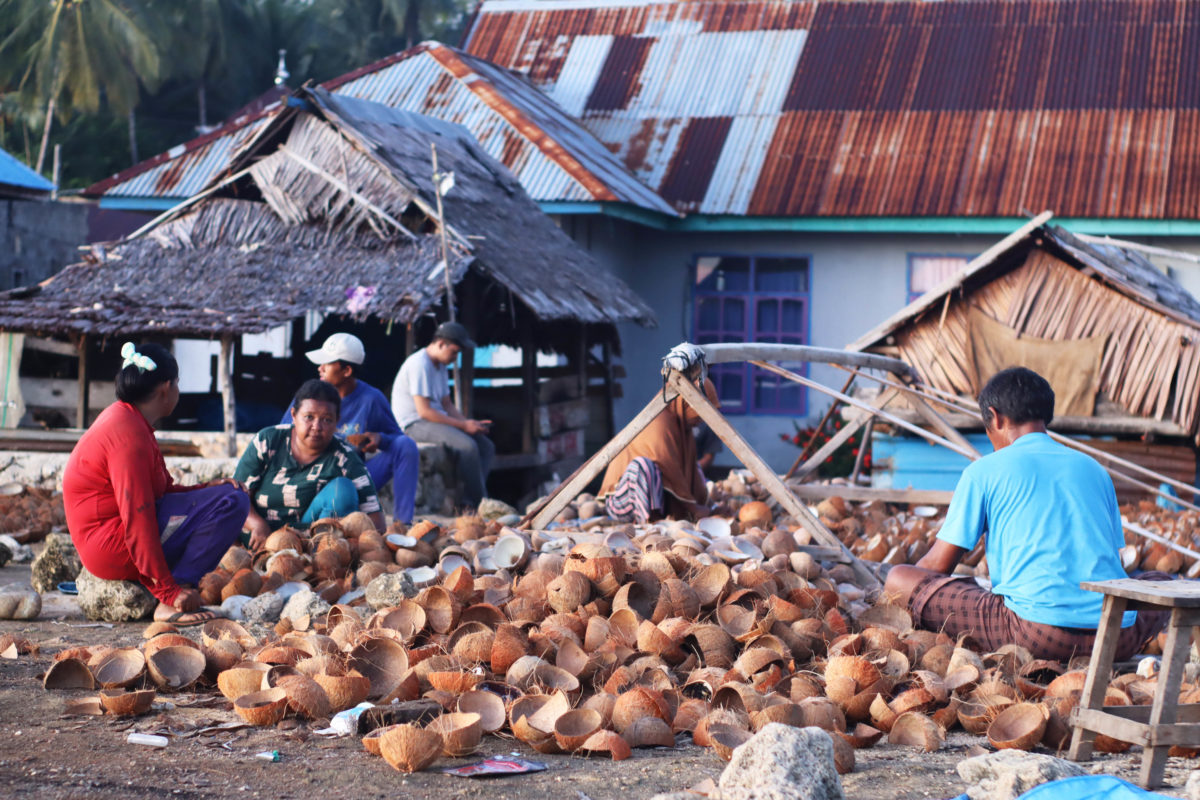 Kelapa, salah satu hasil utama Pulau Wawonii. Foto: LBH Makassar