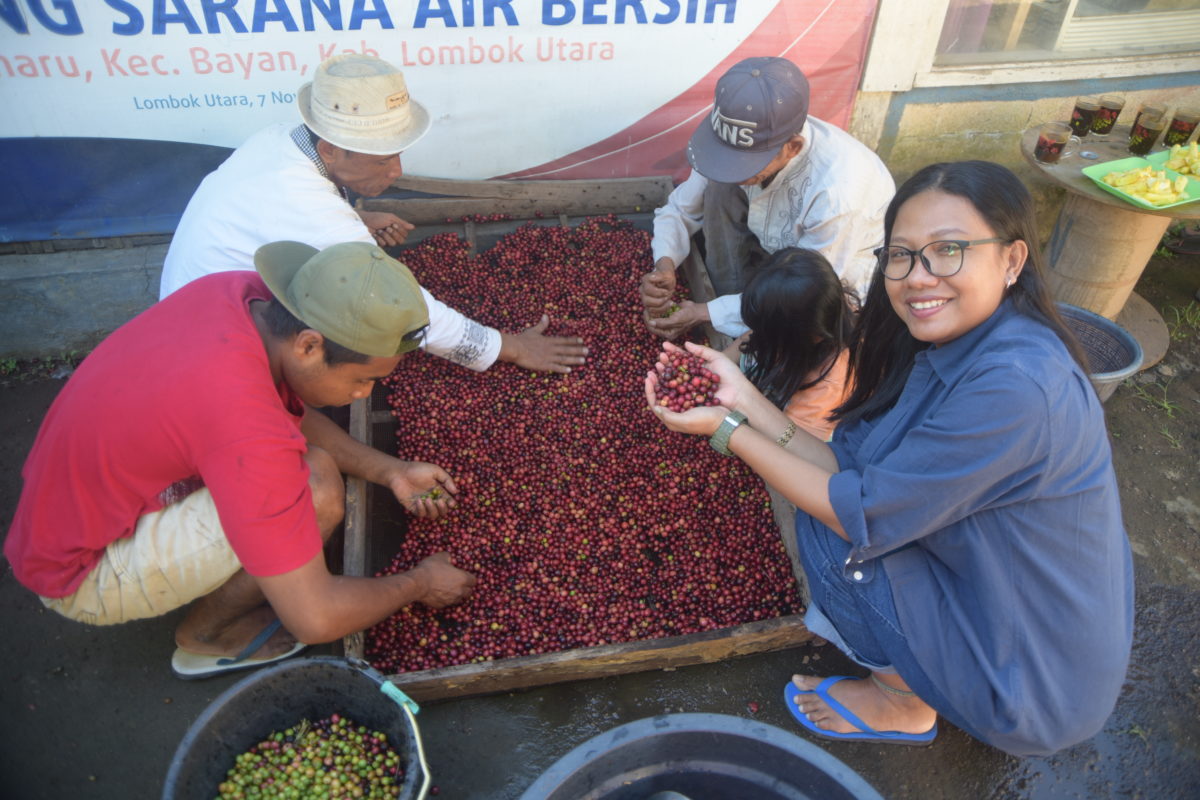Mahniwati, perempuan adat Bayan saat proses penjemuran kopi di Desa Senaru, Kabupaten Lombok Utara. Foto: Mongabay Indonesia/Fathul Rakhman