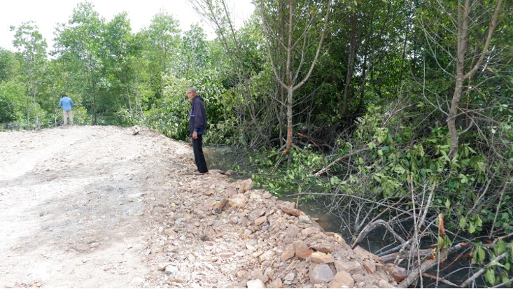 mangrove ditimbun untuk pembangunan perumahan. Foto Yogi Eka Sahputra