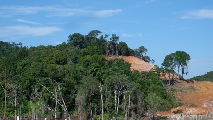 Hutan di Batam terbabat untuk pembangunan pelebaran jalan. Foto: Yogi Eka Sahputra/ Mongabay Indonesia