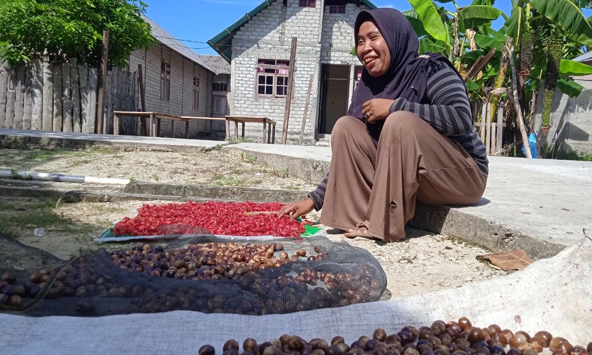 Warga menjemur biji pala dan fuli di depan rumah. Foto: Mahmud Ichi/ Mongabay Indonesia