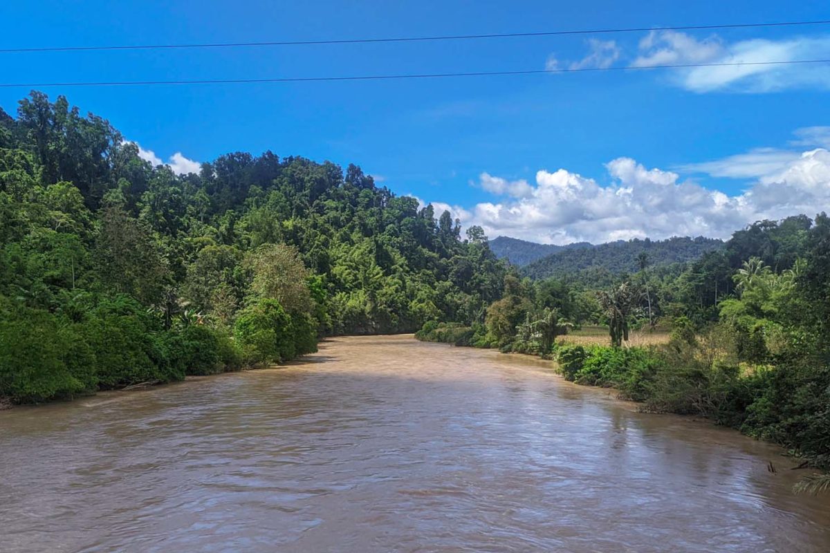 Sungai Karama, yang akan dibendung dan jadi sumber air PLTA. Foto: Agus Mawan/ Mongabay Indonesia