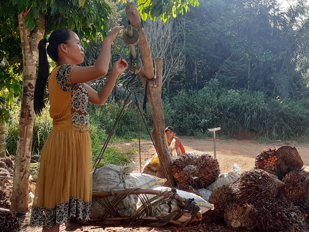 Orang Talang Durian Cacar , dulu bergantung hidup dengan hutan dan berladang, kini sebagian jadi petani sawit. Sekeliling wilayah adat mereka perkebunan sawit skala besar. Foto: Suryadi/ Mongabay Indonesia 
