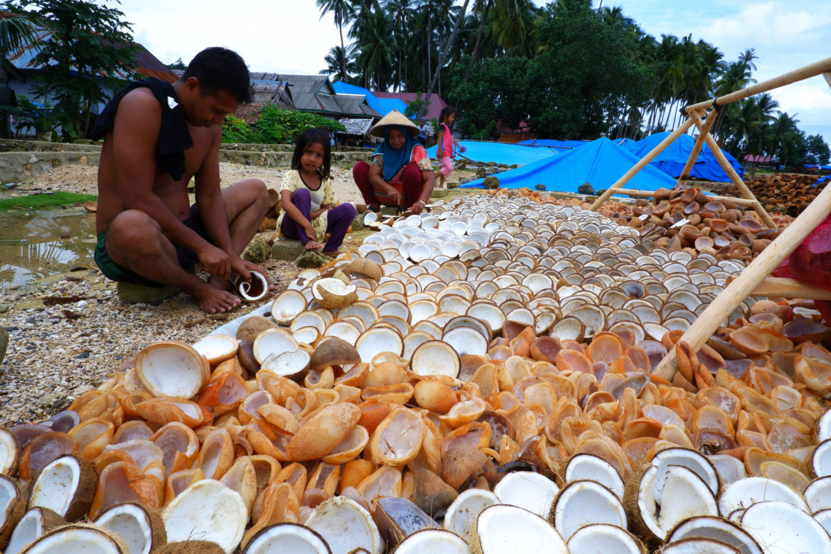 Waega belah kelapa untuk bikin kopra di Roko Roko, Wawonii. Foto: Eko Rusdianto/ Monhabay Indonesia