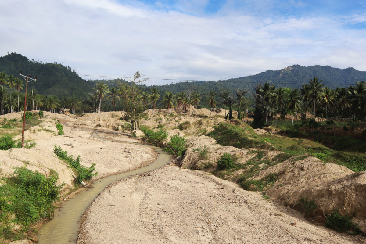 Kawasan yang dulunya bertutupan di Cagar Alam Panua, kini gundul jadi bekas galian tambang emas. Foto: Sarjan Lahay/ Mongabay Indonesia