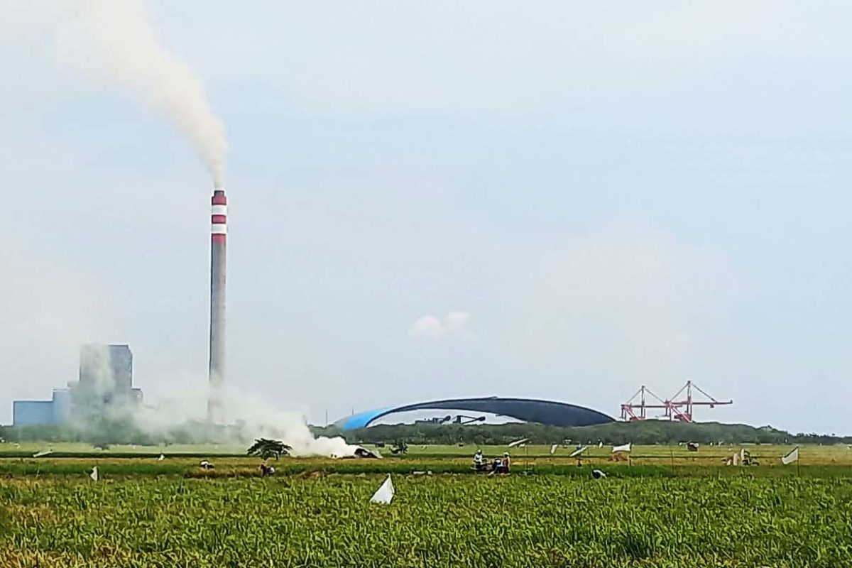 PLTU INdramayu 1, mulai co-firing antara bomassa dan batubara. Di lapangan, warga juga mengeluhkan debu dari pengangkutan bahan-bahan biomassa. JUga asap yang mengepul memenuhi perkampungan. Foto: Indra Nugraha/ Mongabay Indonesia