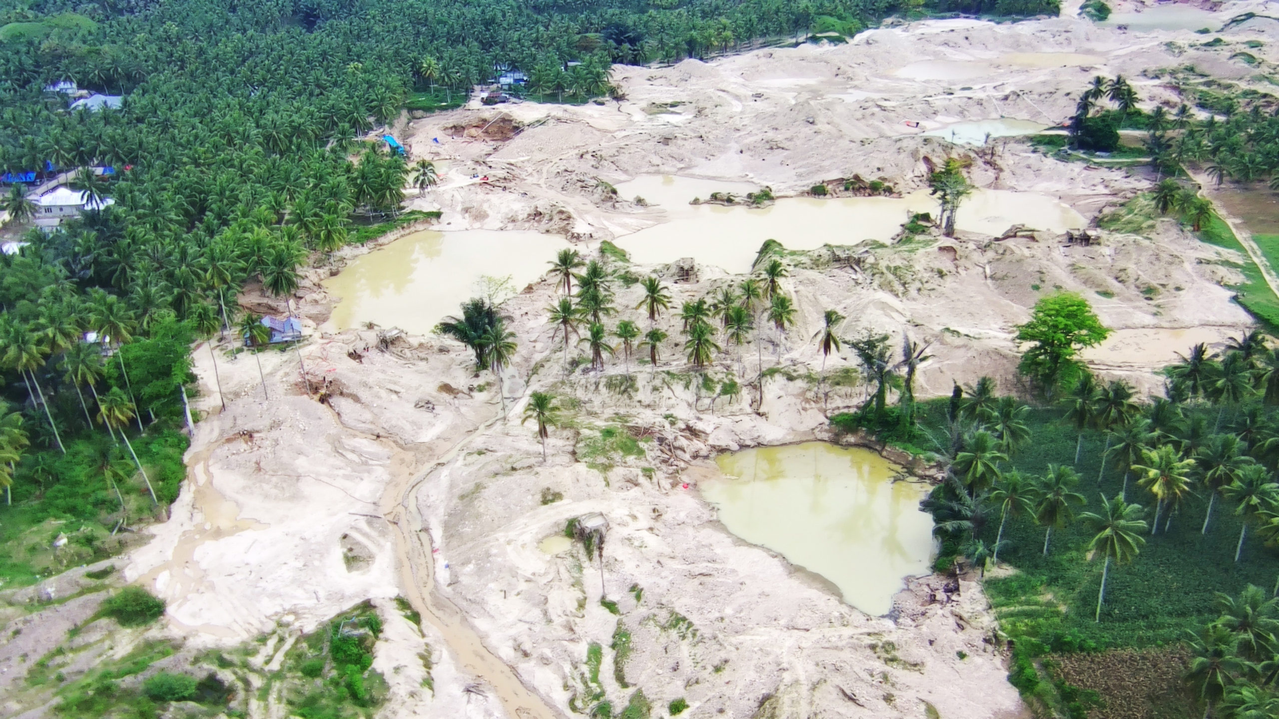 Nasib Cagar Alam Panua, terbabat tambang emas ilegal. Foto: Sarjan Lahay. Mongabay Indonesia