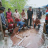 Pari raksasa yang tak sengaja tertangkap jaring nelayan sungai. Pari sudah mati ketika ditemukan. Foto: BPSPL Padang