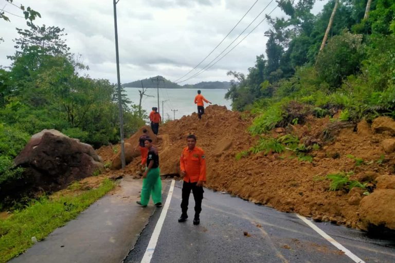 Senin (5/9/2022) longsor juga terjadi di kawasan Sitinjau Lauik, Kecamatan Lubuk Kilangan, Kota Padang.. Vinoloia