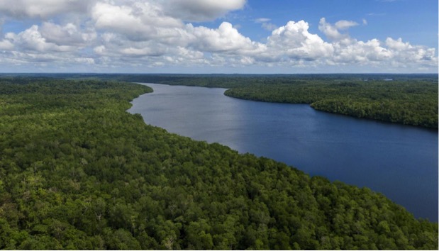 Foto aerial kondisi tutupan hutan alam di Pulau Trangan yang dipisahkan oleh selat-selat kecil. Tampak hutan mangrove rapat menutupi tepian selat. Foto/Dok: Forest Watch Indonesia