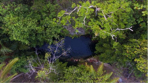 Foto aerial Telaga Kongan, Desa Marfenen yang terbentuk akibat runtuhnya atap gua dan lorong gua yang terendam air. Foto/Dok: Forest Watch Indonesia