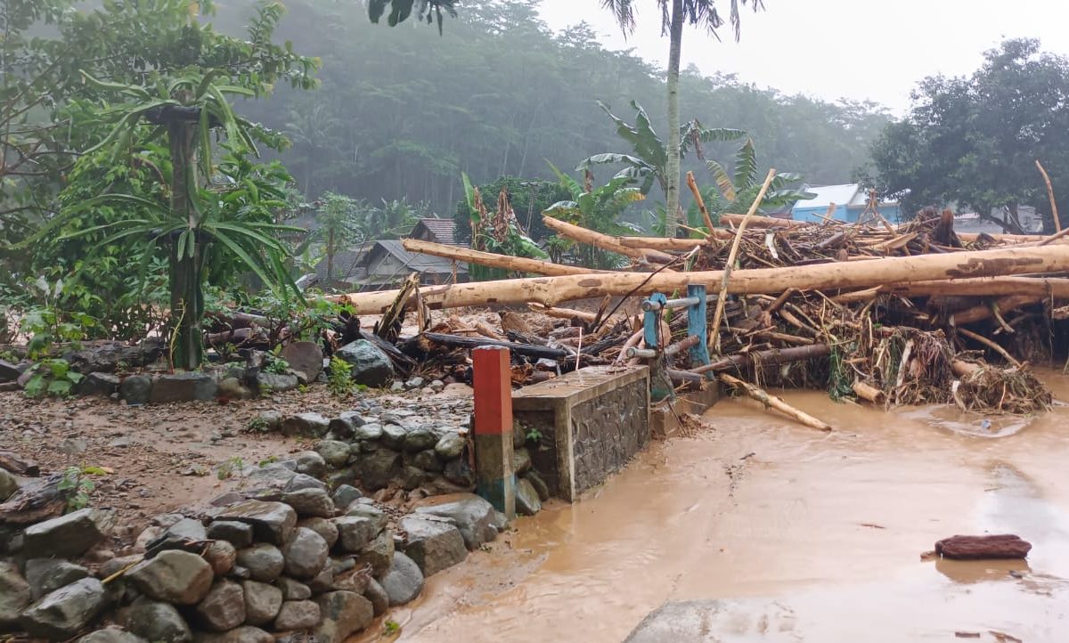 Gelondongan kayu terseret banjir bandang di Desa Lebakharjo, Ampelgading, Kabupaten Malang. (Foto: PMI Kabupaten Malang).