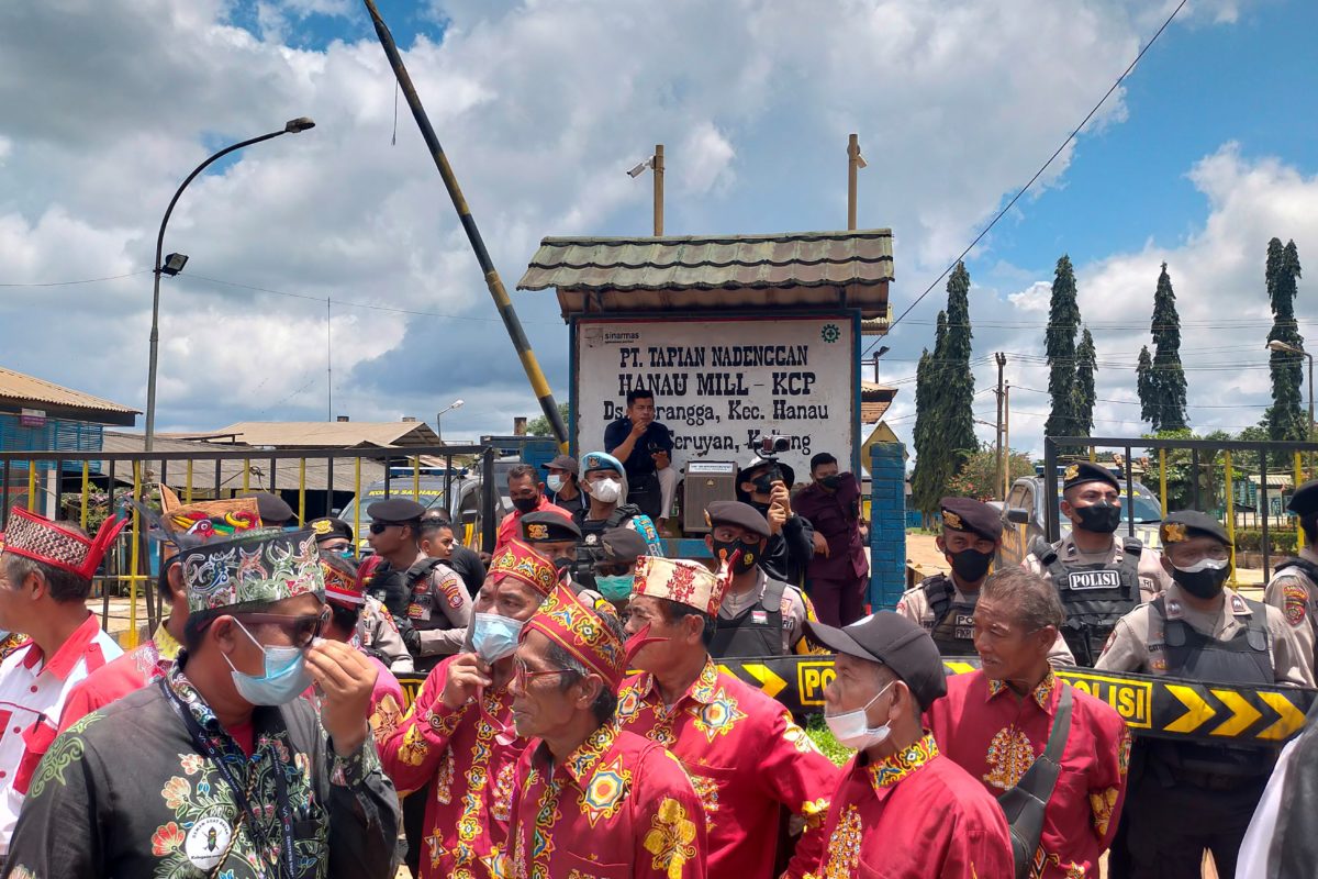 Ada sekitar 5.000-an orang dari Kecamatan Hanau, Kabupaten Seruyan, Kalimantan Tengah, aksi menuntut plasma di perkebunan sawit PT Tapian Nadenggan, anak usaha Sinas Mas Group.. Foto: Budi Baskoro/ Mongabay Indonesia