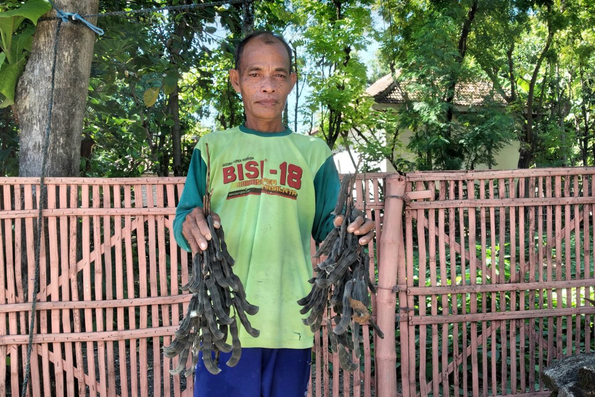Kara benguk yang jadi bahan pangan warga Pulau Gili Raja di Sumenep. Foto: Moh Tamimi/ Mongabay Indonesia 