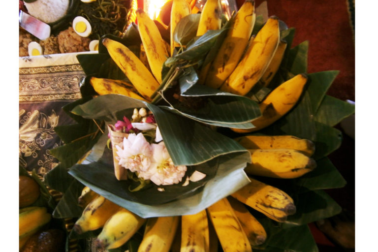 Pisang raja dan pisang pulut, jadi elemen dalam sesaji di Yogyakarta. Foto: Nuswantoro/ Mongabay Indonesia