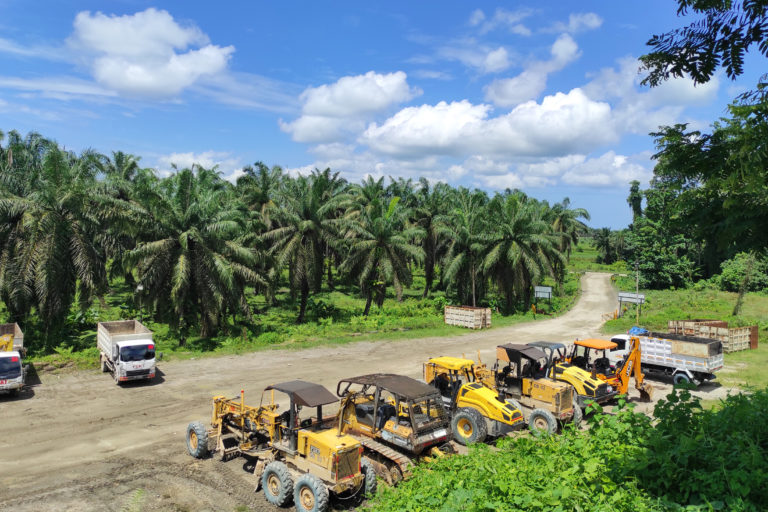 Kebun sawit PT Pasangkayu. Foto: Sarjan Lahay/ Mongabay Indonesia