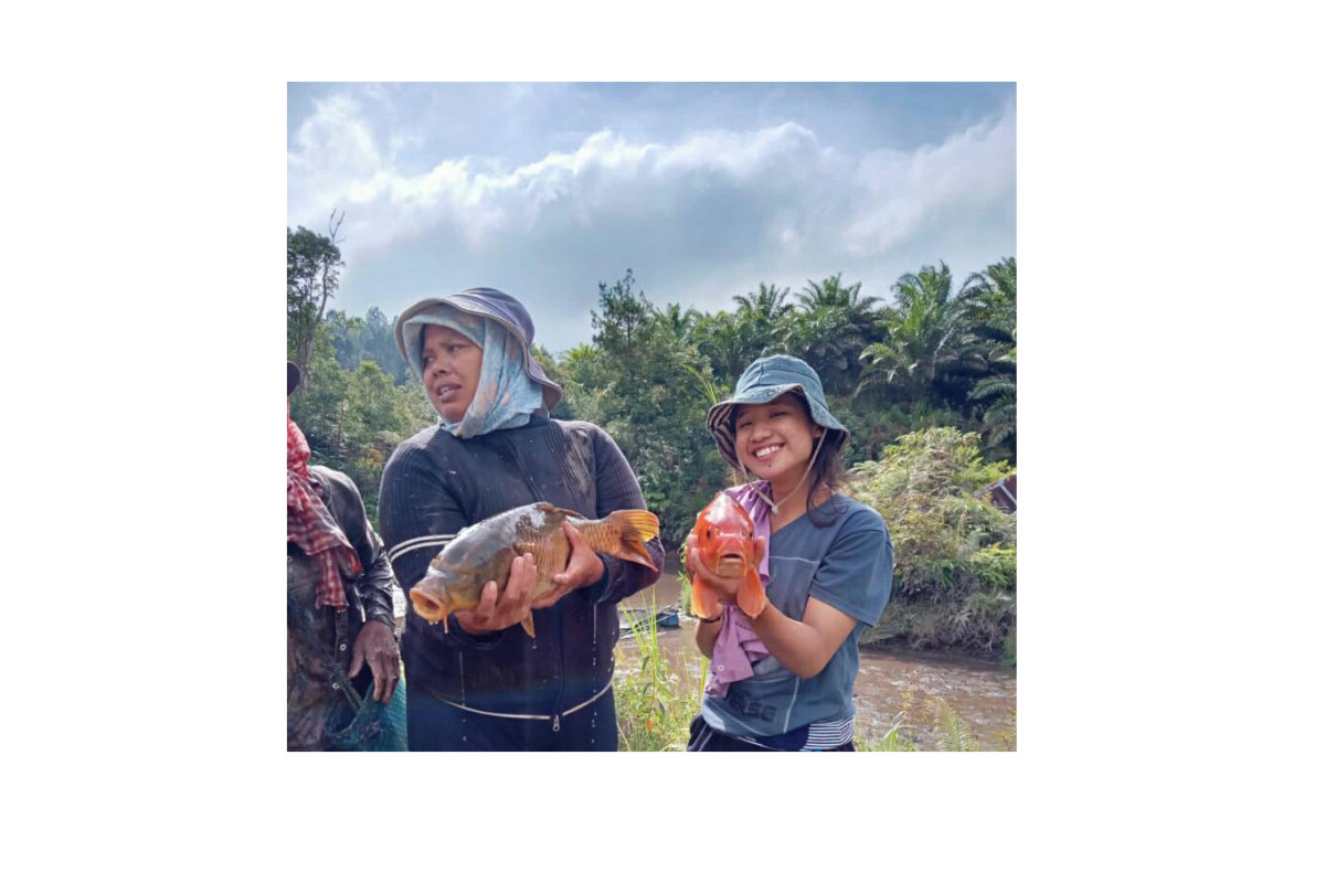 Gotong royong panen ikan. Foto: Barita News Lumbanbatu/ Mongabay Indonesia