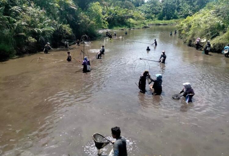 Panen ikan beramai-ramai di tambak yang juga berfungsi sebagai irigasi. Panen ikan di Masyarakat Batak ini sudah jadi tradisi. Foto: Barita News Lumbanbatu/ Mongabay Indonesia