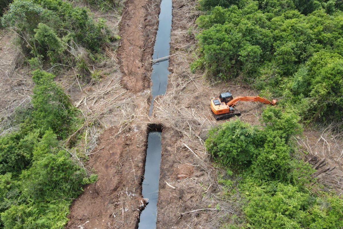 Praktik berisiko bagi lingkungan. Kebun sawit yang sedang membuka kanal di lahan gambut Pulau Mendol, Riau. Foto: Suryadi/ Mongabay Indonesia