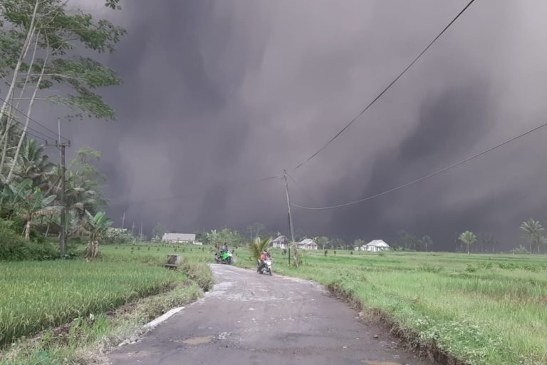 Awan panas erupsi Semeru, 4 Desember 2022. Foto: BNPB 
