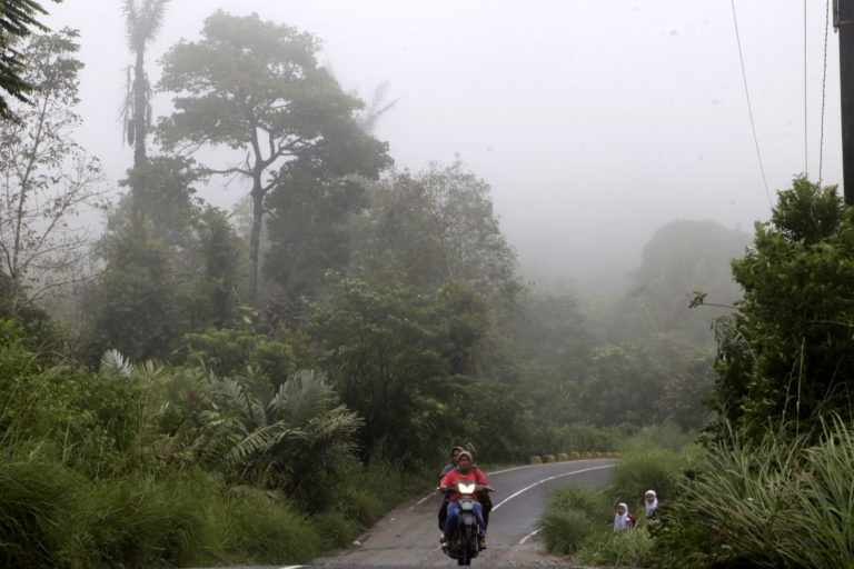 Jalan di Batang Toru dengan kini kanan hutan bertutupan lebat. Kalau hutan ini terus hilang, tak hanya bahaya bagi iklim juga keragaman hayati dan manusia yang bergantung hidup dari keberadaan hutan ini. Foto: Junaidi Hanafiah/ Mongabay Indonesia