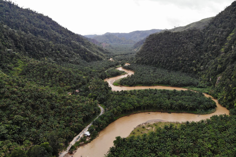Sungai Batang Toru dengan kiri kanan tutupan rapat inilah yang jadi proyek PLTA. Foto: Junaidi Hanafiah/ Mongabay Indonesia