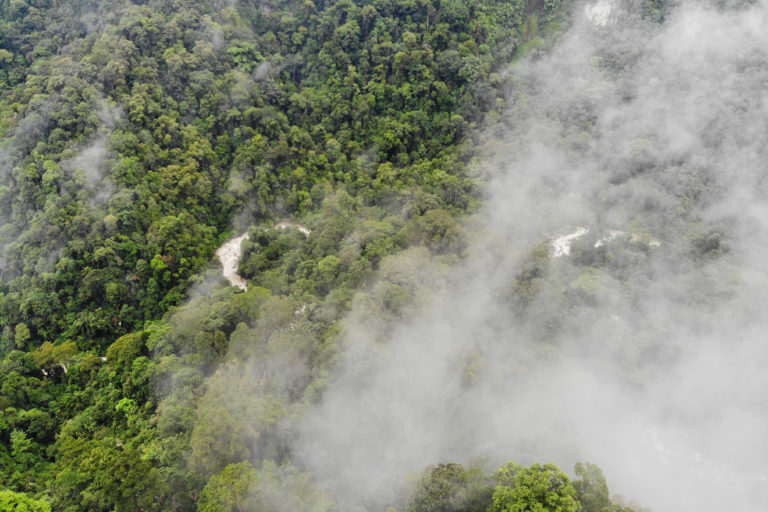 Hutan Batang Toru yang masih bertutupan lebat. Foto: Junaidi hanafiah/ Mongabay Indonesia
