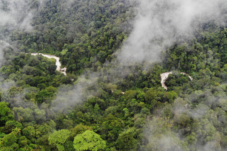 Hutan Batang Toru dengan tutupan lebat dan air sungai mengalir di dalamnya, jadi incaran berbagai kepentingan, antara lain, pembangkit listrik tenaga air. Foto: Tonggo Simangungsong/ Mongabay Indonesia