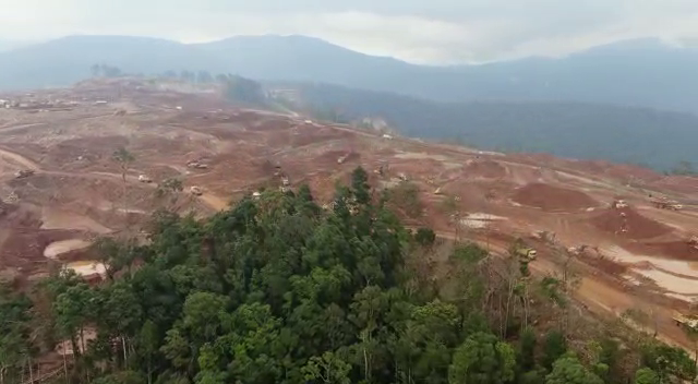 Hutan Ake Jira, yang hilang untuk tambang nikel. Foto: Christ Belseran/ Mongabay Indonesia