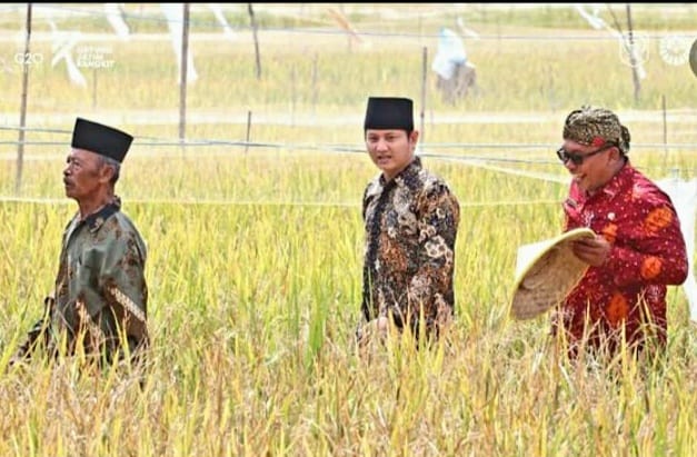 . Muhammad Nur Arifin, Bupati Trenggalek (tengah), ikut panen padi.Foto: dokumen pribadi