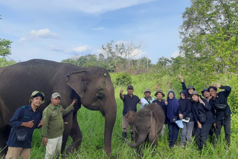Konservasi gajah untuk mendukung kegiatan penelitian, pendidikan dan wisata alam TNTN. Foto Balai TNTN