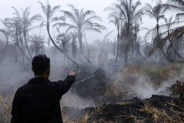 Lahan gambut rusak, Rawa Tripa pun rawan terbakar. Pada 2022, Rawa Tripa juga terbakar. Foto: Junaidi Hanafiah/ Mongabay Indonesia 