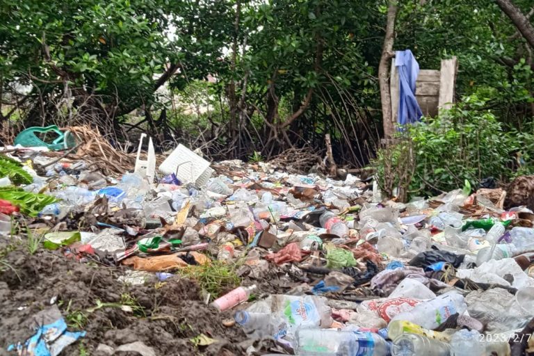 Berbagai jenis sampah yang ditumpuk warga Laiwui Obi di dekat hutan mangrrove kampung itu. Foto: M Ichi/ Mongabay Indonesia