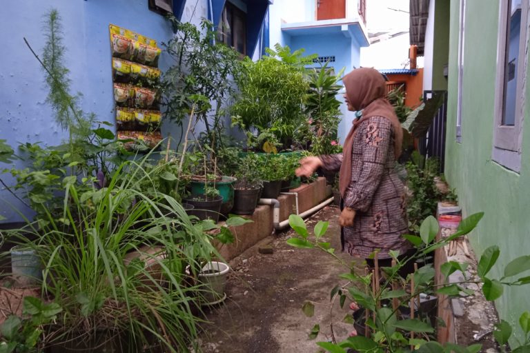 Pekarangan rumah Bintari, penuh dengan beragam macam tanaman pangan. Foto: Gafur Abdullah/ Mongabay Indonesia