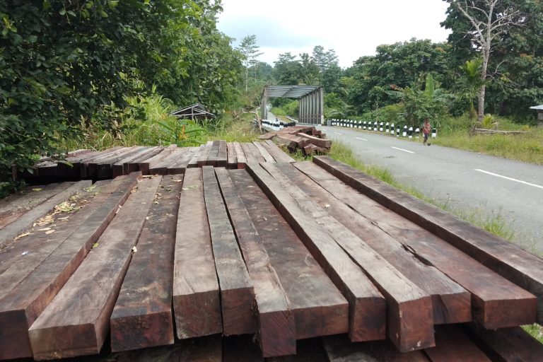 ayu-kayu milik masyarakat adat di Waris Kabupaten Keerom tergeletak di Pinggir jalan raya karena tidak jadi diangkut oleh perusahaan akibat gencarnya penertiban oleh aparat penegak hukum.jpg