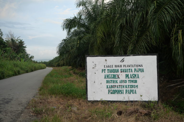  Lokasi kebun plasma di konsesi PT Tandan Sawita Papua.JPG