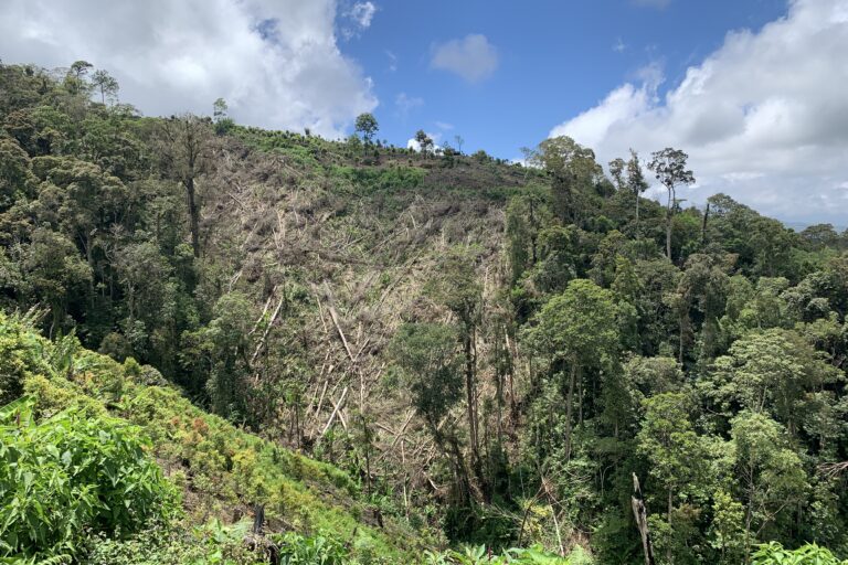 Perambahan di wilayah taman nasional Kerinci Seblat, letaknya di bukit di atas Desa Danau Tinggi, Kecamatan Gunung Kerinci, Kabupaten Kerinci..JPG Teguh