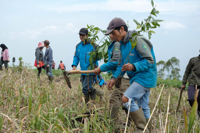 Para petani muda KTH Mulya Tani sedang menanam pohon kopi, alpukat, dan kayu putih di wilayah kelola mereka. Foto: Lusia Arumingtyas/ Mongabay Indonesia 