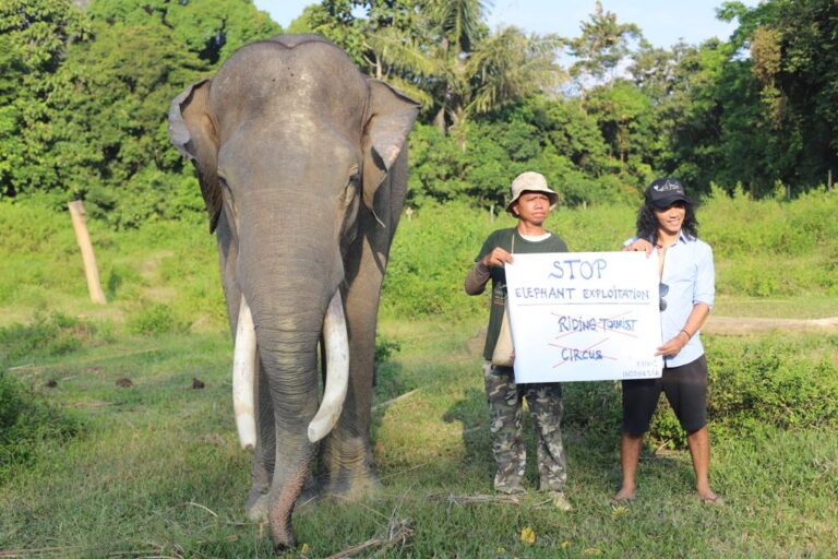 Kaka berfoto dengan gajah Dwiki ketika berkunjung ke BNWS 14 Februari 2023 Dwiki mati ketika dipindah ke Aek Nauli dengan kondisi Malnutrisi (Ayat S KaroKaro)