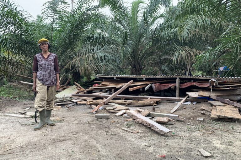 Sumiarsih berdiri di sebelah pondoknya yang telah rata dengan tanah dihancurkan kawanan gajah..J