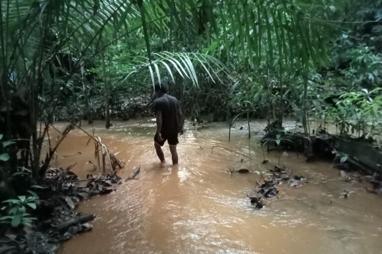 Aliran sungai di lembah pegunungan Wawonii Tenggara tercemar lumpur