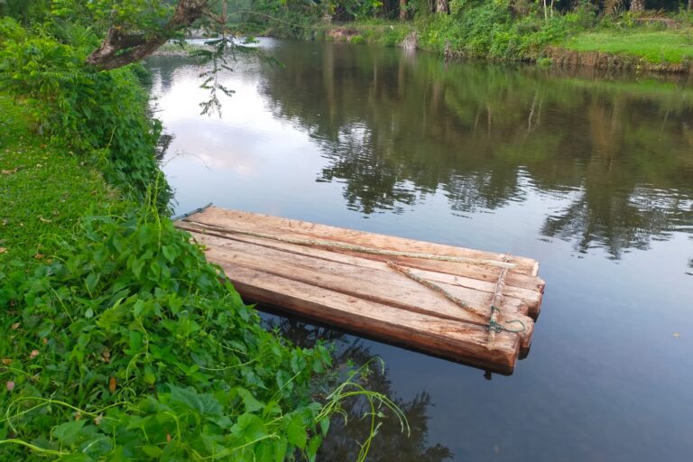 Satu rakit kayu balok tertambat di pinggir sungai, diduga para pekerja baru memulai menghanyutkan kayu namun karena ada orang luar memasuki kawasan tersebut aktifitas mereka terpaksa dihentikan. Foto: Vinolia/ Mongabay Indonesia