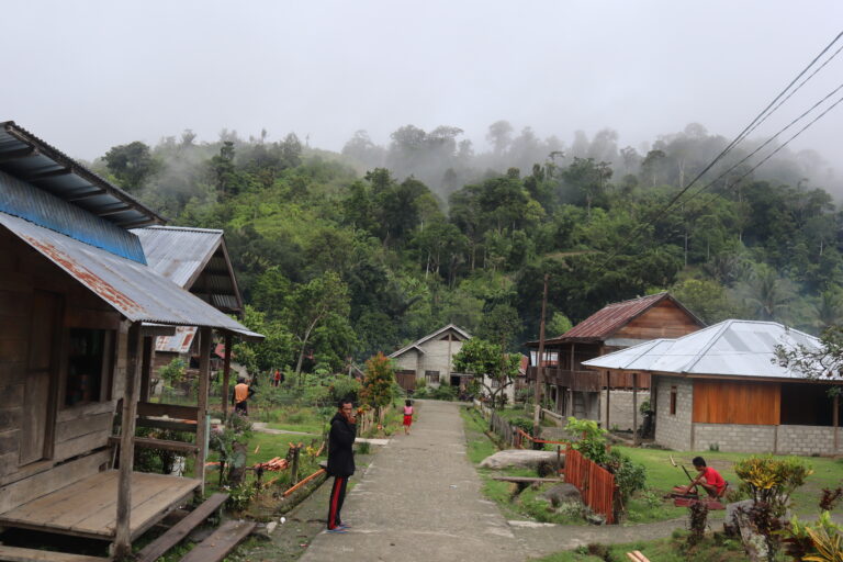 Pemukiman Desa Moa, Kecamatan Kulawi Selatan, Kabupaten Sigi, Sulawesi Tengah, berkeliling hutan. Fotoi: Sarjan Lahay/ Mongabay Indonesia