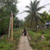 Demi listrik sampai ke rumah, masyarakat Penyalai yang tinggal di lorong-lorong mendirikan tiang-tiang kayu dari belahan pohon kelapa dan pinang untuk membentang kabel. Foto Suryadi.jpg