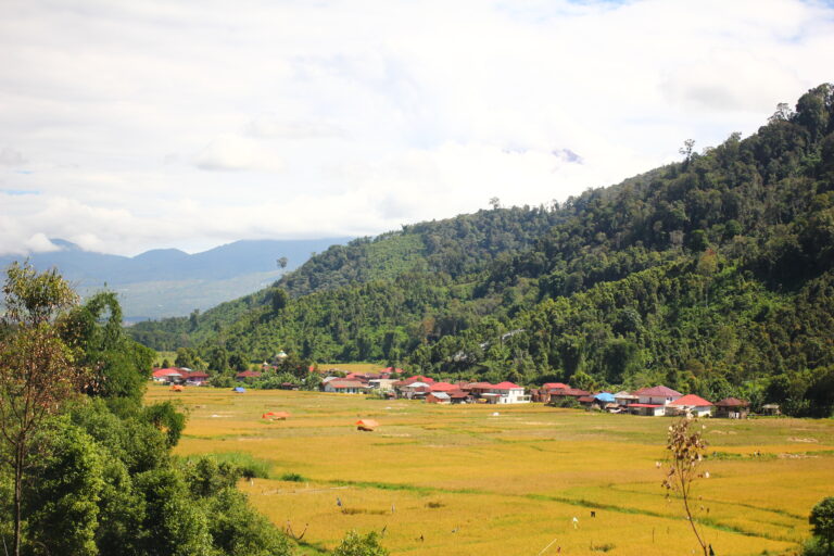 Landscape Desa Renah Kasah yang 30 persen dari luas desa areal persawahan
