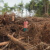 Pembukaan hutan untuk tambang nikel di Pulau Wawonii. Foto: Riza Salman/ Mongabay Indonesia