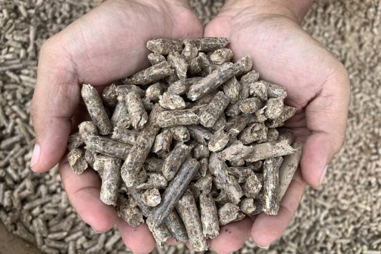 Produksi wood pellet PT RPSL dikirim untuk memenuhi kebutuhan pasar di Korea Selatan. Foto: Yitno Suprapto/ Mongabay Indonesia