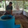 Sudarman mengaduk kotoran sapi yang telah dicampur air dalam inlet. Takaran kotoran sapi dan air, satu banding satu. Alias 80 kg kotoran ditambah 80 liter air. Foto Suryadi/ Mongabay Indonesia