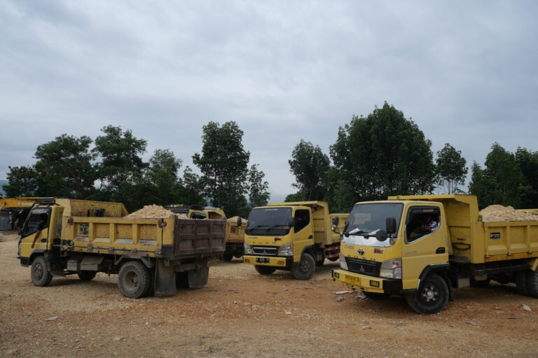 Truk-truk yang digunakan untuk mengangkut material penimbun hutan bakau. Foto: Asrida Elisabeth/ Mongabay Indonesia