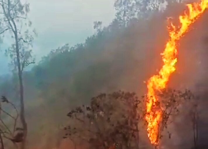 Api yang membakar kawasan hutan di pegunungan Arjuno, Jawa Timur. Hingga sepekan lebih api tak kunjung berhasil dipadamkan. Foto: tangkapan layar.